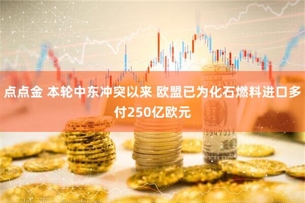 点点金 本轮中东冲突以来 欧盟已为化石燃料进口多付250亿欧元