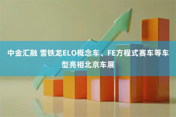 中金汇融 雪铁龙ELO概念车、FE方程式赛车等车型亮相北京车展