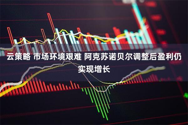 云策略 市场环境艰难 阿克苏诺贝尔调整后盈利仍实现增长