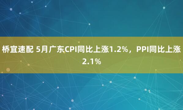 桥宜速配 5月广东CPI同比上涨1.2%，PPI同比上涨2.1%